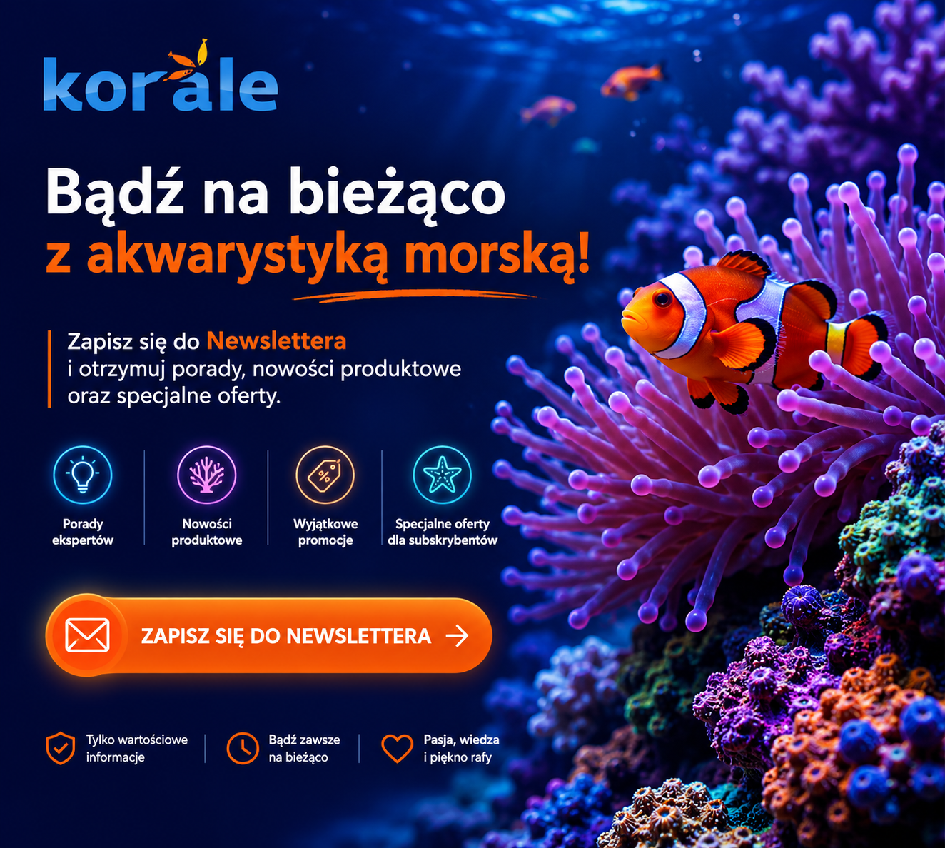 Akwarystyka morska- baner